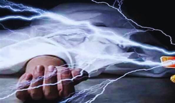 High Tension Wire Death.