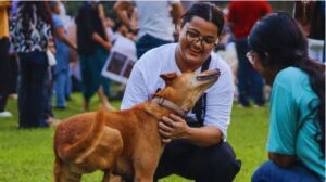 Supreme Court On Stray Dogs.