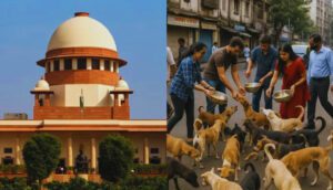 Supreme Court On Stray Dogs.