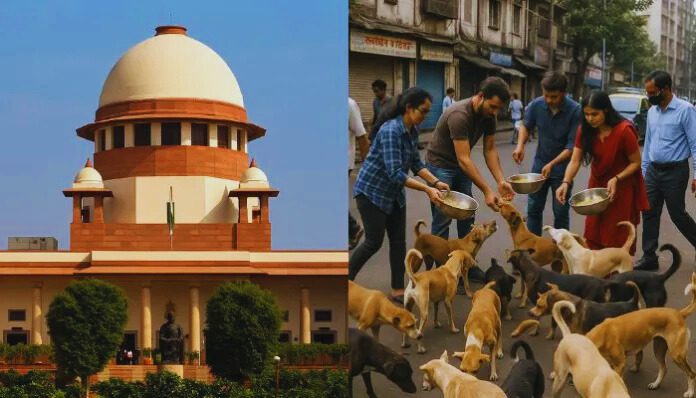 Supreme Court On Stray Dogs.