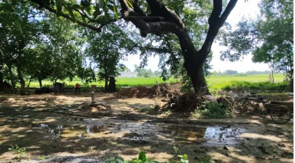 Village Dispute in Sultanpur: सपा प्रधान प्रसून मालवीय की दबंगई! 80 साल पुराने नलकूप का रास्ता गायब, किसान पानी को तरसे