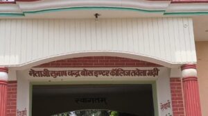 Raksha Bandhan With Tree.