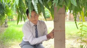 Raksha Bandhan With Tree.