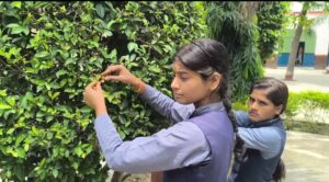 Raksha Bandhan With Tree.