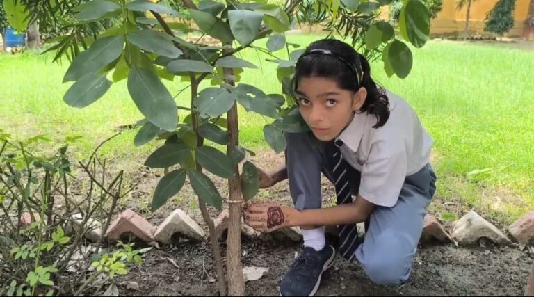 Raksha Bandhan With Tree.
