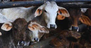 Haryana Govt. On Stamp Duty.