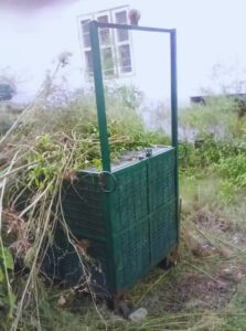 Leopard Terror In Shimla.