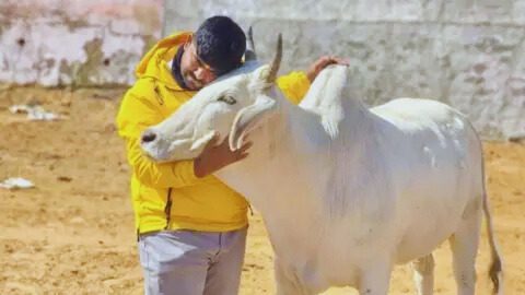 Monu Manesar Nuh Voilence.