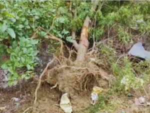 Rohtak Naveen Jaihind Ultimatum.