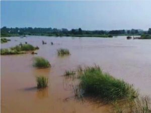 Haryana Heavy Rainfall Alert.