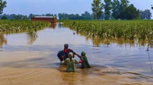 Punjab Villagers Want To Join Haryana.