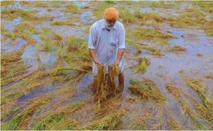 Punjab Villagers Want To Join Haryana.