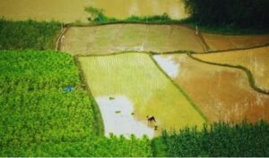 Punjab Villagers Want To Join Haryana.