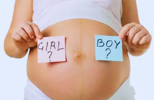 Haryana Sex Determination Gang.