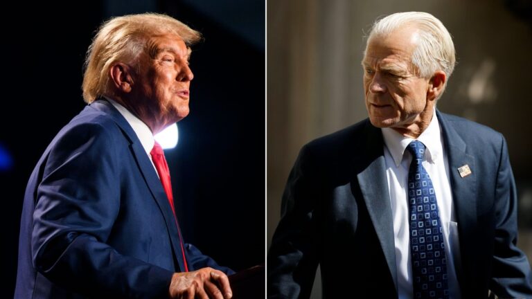 सनकी Trump के बदतमीज सलाहकार Peter Navarro की भारत के ब्राह्मणों पर विवादित टिप्पणी, भारत में जातिगत तनाव बढ़ाने की साज़िश !
