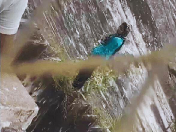 Girl Suicide In Yamuna River.