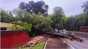 Haryana Punjab Himachal Winter Alert.