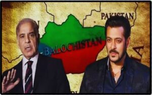 Pakistan On Salman Khan.