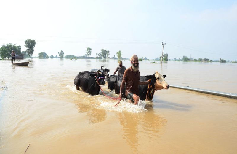 पंजाब में फिर बाढ़ का खतरा (फाइल चित्र)
