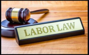 देश में New Labour Laws लागू, सिर्फ 1 साल की नौकरी पर मिलेगी Gratuity, जानिए क्या हैं नए कानून और कैसे calculate करें Gratuity