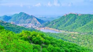 Aravalli Hills Protest.