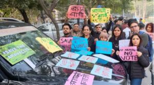 Aravalli Hills Protest. 