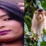 Lucknow News: पति बोला तुम बंदरिया हो,मॉडल पत्नी ने दी जान !