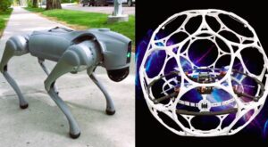 India AI Impact Summit 2026: क्या है Galgotias University का पूरा मामला ? फ़ज़ीहत से माफ़ी तक की पूरी कहानी जानिए !